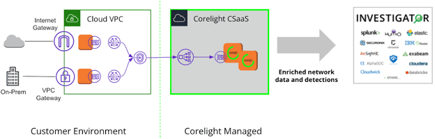 corelight-saas