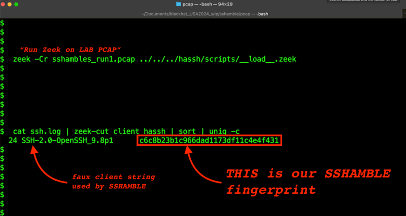 /tales-from-blackhat-usa-2024/image4.png