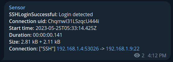zeek-package-with-zeekjs/sensor.png