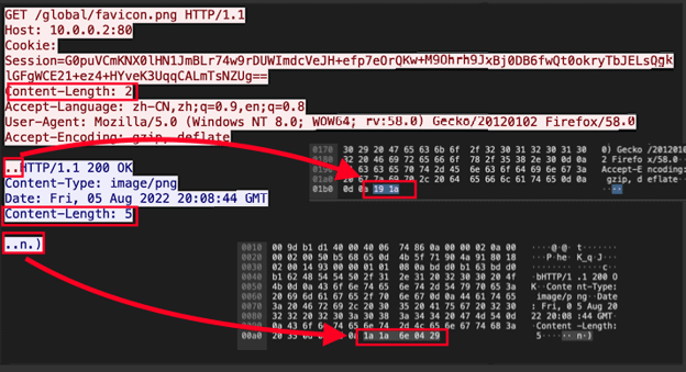 wireshark-binary-content
