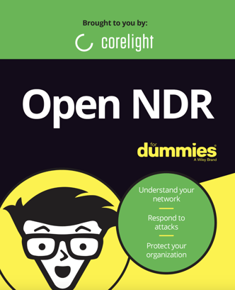Open NDR for Dummies whitepaper thumbnail