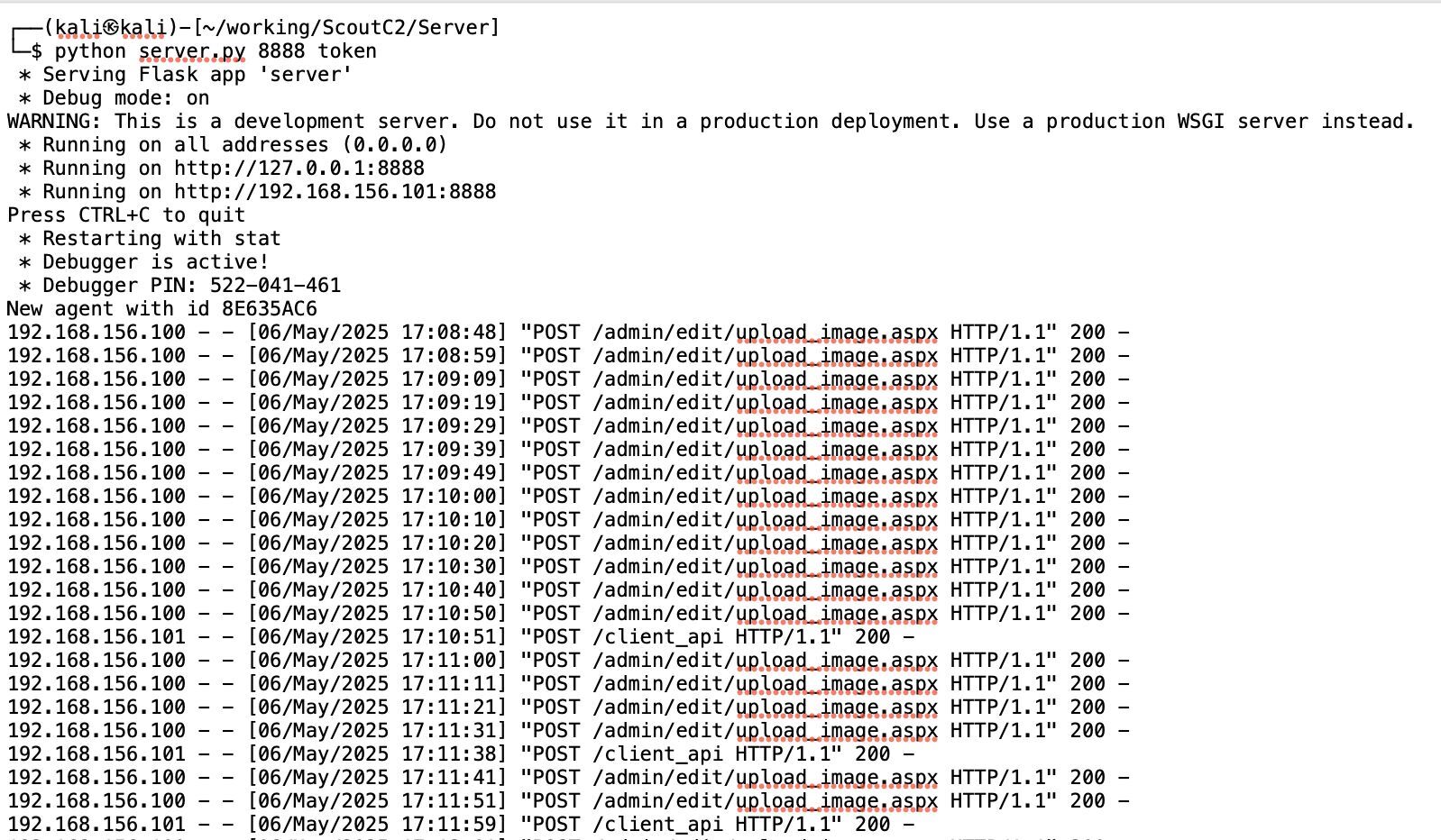 3-kali-server-script--graphic