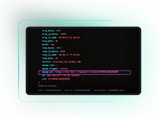 Connection log and PCAP data visualization diagram