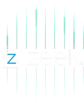 Zeek_HeroIllustration