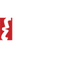 yara-200x170