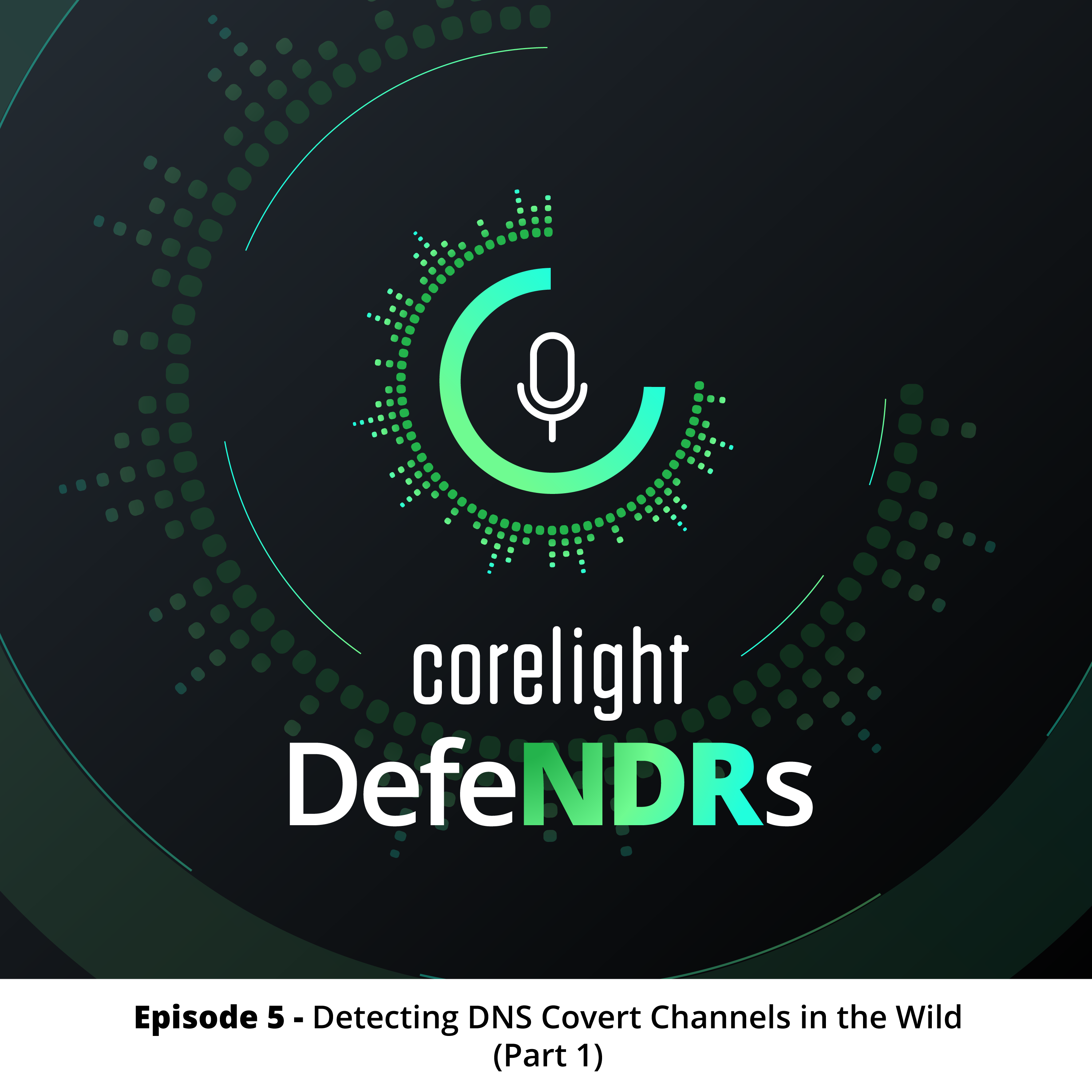 Episode 5 - Detecting DNS Covert Channels in the Wild (Part 1)