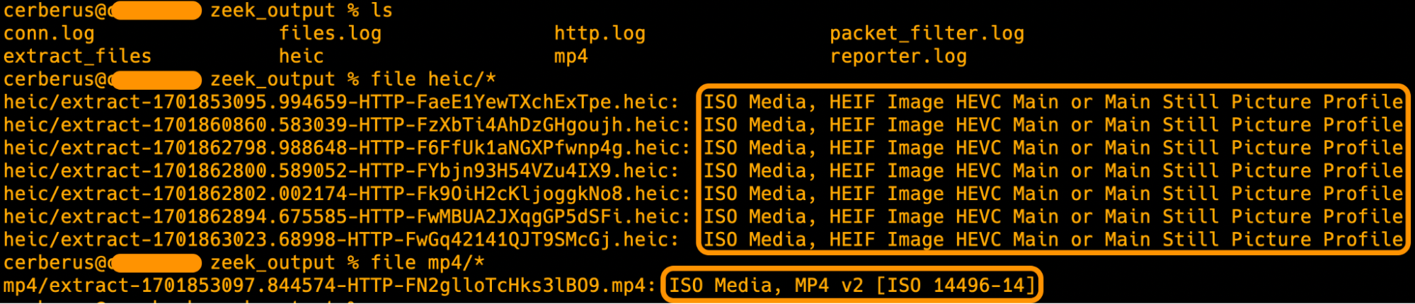 findings-from-blackhat-europe-2023/collected-details.png
