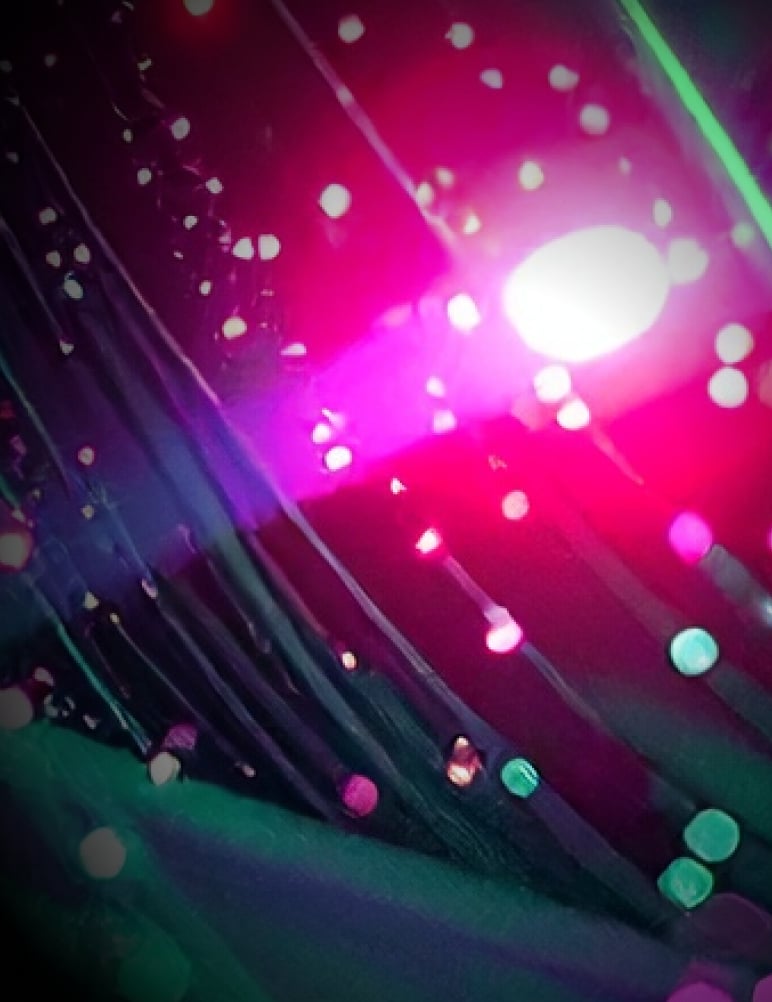 detections--card_bg-3